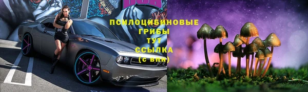 прущие грибы Алзамай