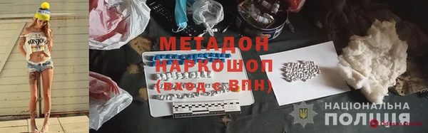 прущие грибы Алзамай