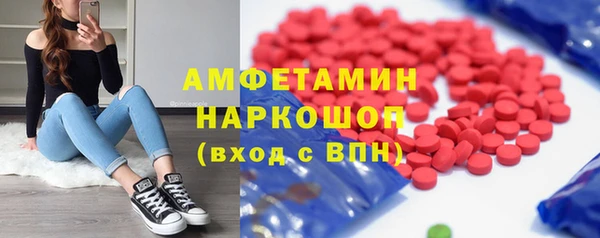 хмурый Алексин
