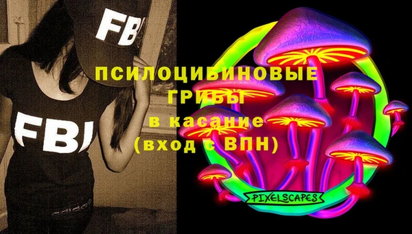 прущие грибы Алзамай