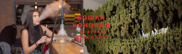 прущие грибы Алзамай