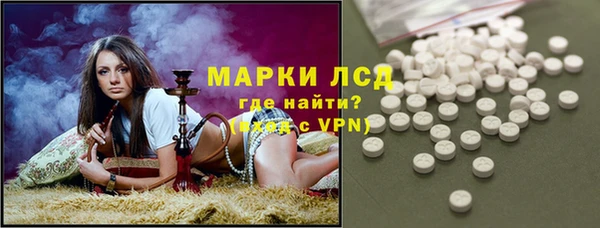 прущие грибы Алзамай