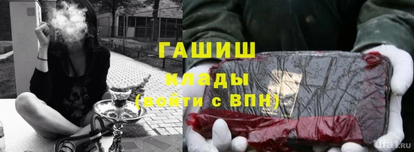 прущие грибы Алзамай